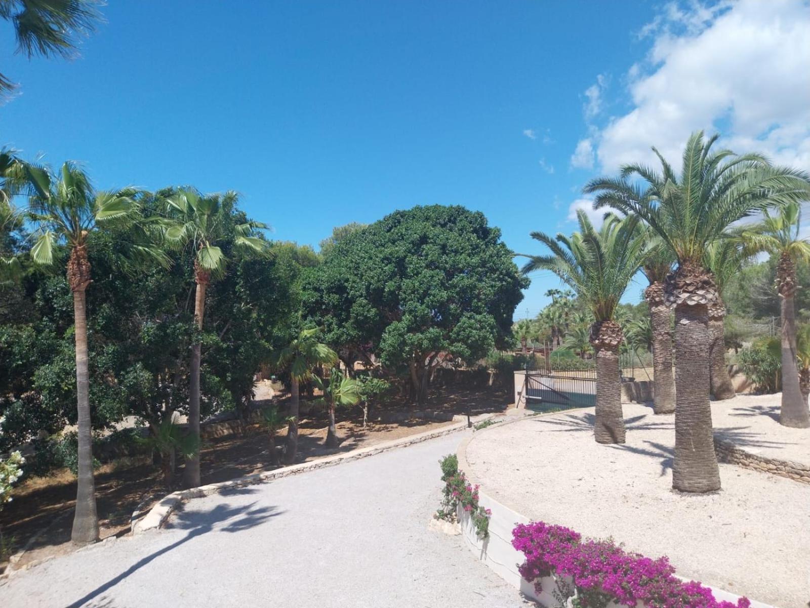Ferienhaus Exclusivo Colonia Sant Jordi. Ses Salines *